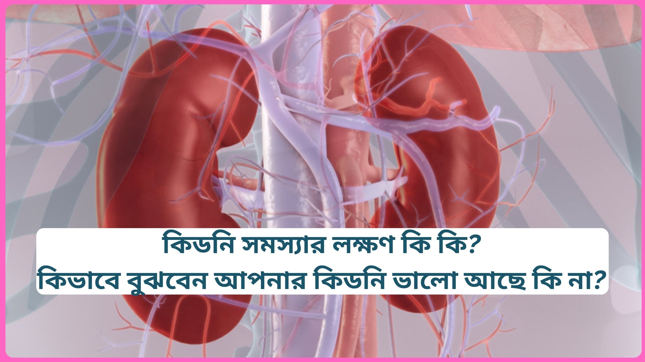 কিডনি সমস্যার লক্ষণ কি কি? কিভাবে বুঝবেন আপনার কিডনি ভালো আছে কি না? 